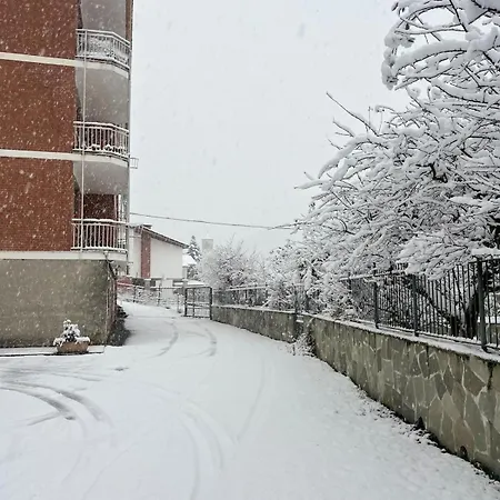 Spazio Oliveira * Sparone