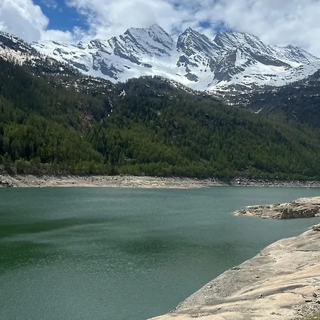 Apartament Spazio Oliveira