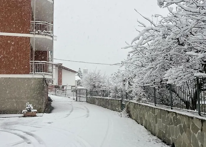 Spazio Oliveira * Sparone